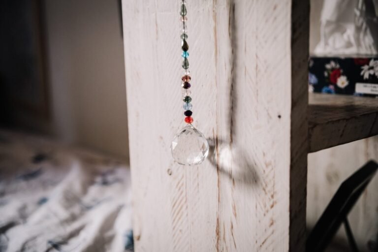 Embodied Educating Programme