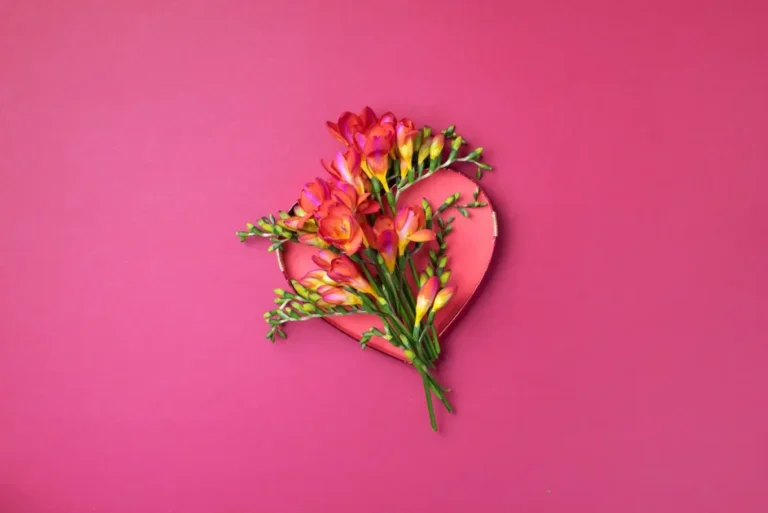 attachment therapy counsellor burnaby