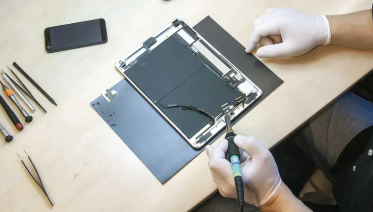 Sarasota IT companies